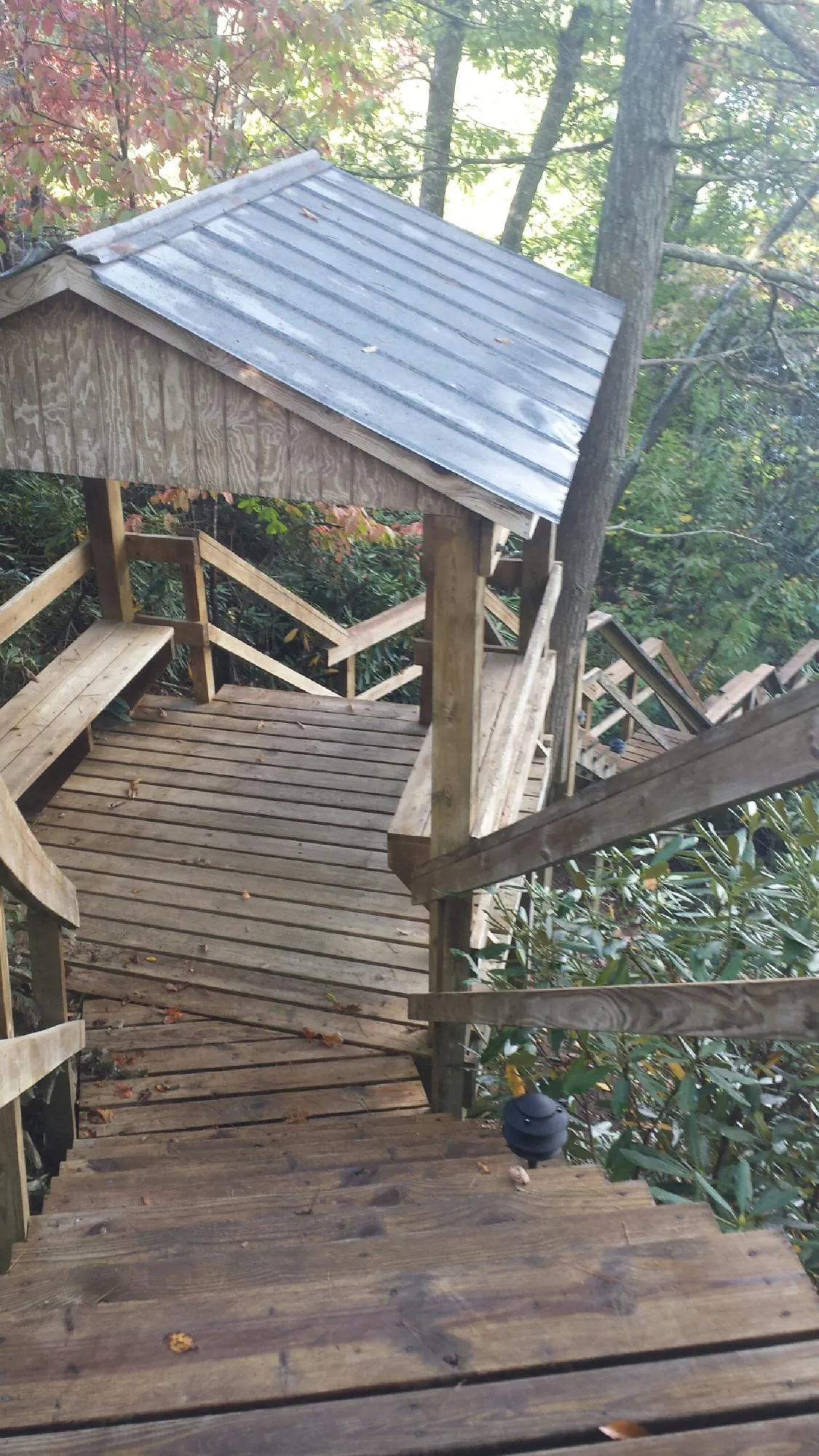 Metal roofed shelter over wooden steps on a wooded walkway — Skylight Repair & Installation work by our crew in Muncie